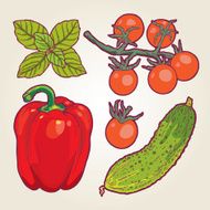 fresh garden vegetables- illustration