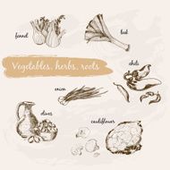 Vegetables herb and roots N8