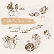 Vegetables herb and roots N10