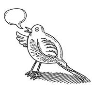 Talking Cartoon Bird Speech Bubble Drawing