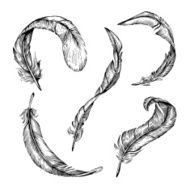 Feather set N6