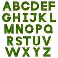 Green alphabet N3