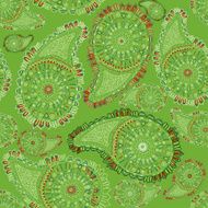 Paisley seamless pattern N24