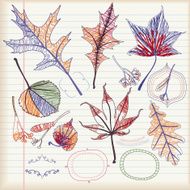Set of Autumn Leaves (Doodle)