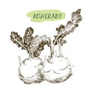 Kohlraby N3