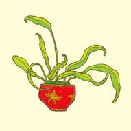 My pet plant Einstein