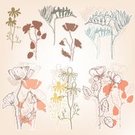Hand-drawn vintage style floral set