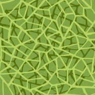 Irregular Abstract Grid Pattern