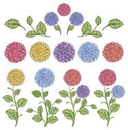 Doodled Chrysanthemums