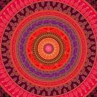 Colorful Mandala Design N2
