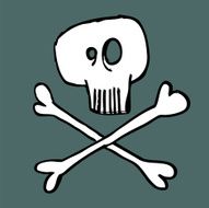 skull and crossbones N10