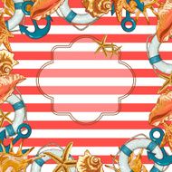 Summer Card with Sea Shells Anchor Lifeline N8