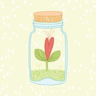 Sprout in the Glass Jar