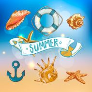 Summer Card with Sea Shells Anchor Lifeline N11