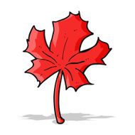 cartoon red maple leaf N7