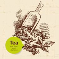 Tea vintage background Hand drawn sketch illustration Menu des N25