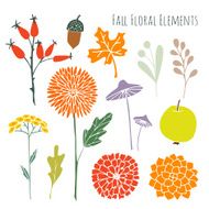 Set of hand drawn autumn fall floral graphic elements