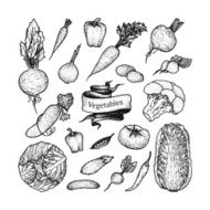 Set of hand drawn vegetables N3