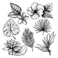 Tropical Leaves Set