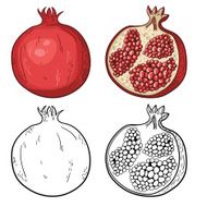 Black and white colorful pomegranates