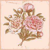 Luxurious peony N3