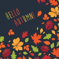 Hello autumn! N3