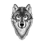 Dotwork tattoo design stylized Wolf face Hand Drawn doodle vect