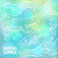 Whales N4