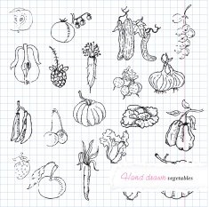 Vegetables Set N4