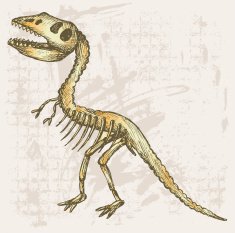 Tyrannosaurus skeleton