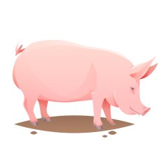 Pink farm pig N2