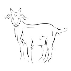 Goat Ink Line Art