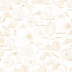Seamless pattern with citrus fruit on white background
