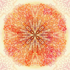 Hand drawn circular pink ornament N3