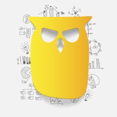 Drawing business formulas owl N23