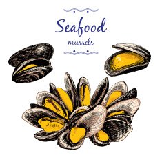 Seafood Mussels N3