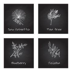 Handdrawn Illustration - Health and Nature Set N29