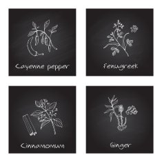 Handdrawn Illustration - Health and Nature Set N30