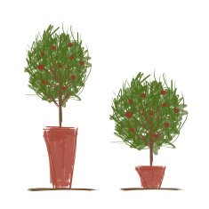 Pots with green tree for your design N2