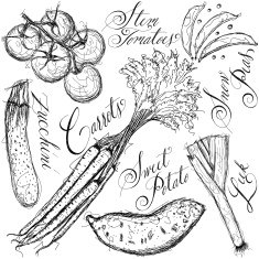 Vegetables sketch