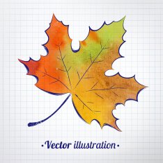 Autumn leaf with watercolor texture drawn on checkered paper
