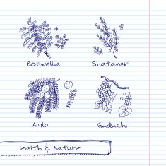 Handdrawn Illustration - Health and Nature Set N34