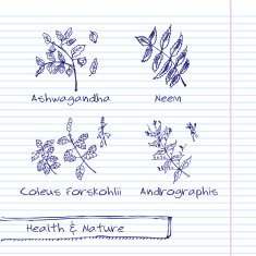 Handdrawn Illustration - Health and Nature Set N35