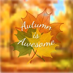Autumn Background N11