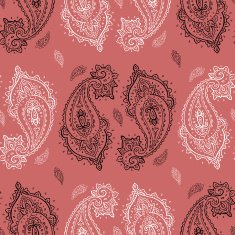 Seamless Paisley pattern N10