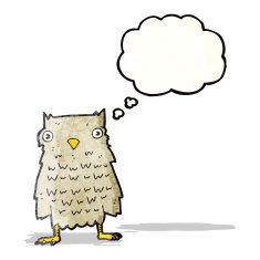 Cartoon Owl N240