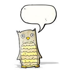 Cartoon Owl N241