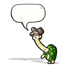 Cartoon Tortoise N85