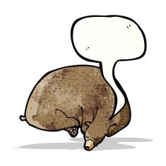 cartoon hibernating bear N3