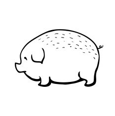 pig vector sketch illustration